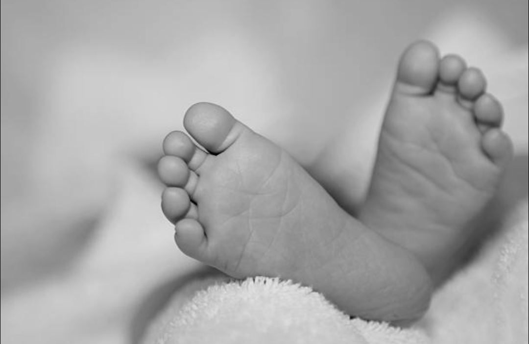 കായംകുളത്ത് നവജാതശിശു മരിച്ചു ; ചികിത്സാ പിഴവെന്ന് ആരോപണം ; സ്വകാര്യ ആശുപത്രിക്കെതിരെ കേസ് നൽകി ബന്ധുക്കൾ