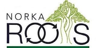 പശ്ചിമേഷ്യൻ സംഘർഷം: മലയാളി പ്രവാസികൾ സുരക്ഷിതർ; ആശങ്ക വേണ്ടെന്ന് നോർക്ക