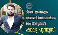 നിയമസഭാ തെരഞ്ഞെടുപ്പിൽ യുവജനങ്ങൾക്ക് അവസരം നൽകണം: ഫോമാ വൈസ് പ്രസിഡന്റ് ഷാലു പുന്നൂസ്
