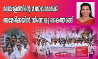 മലയാളത്തിന്റെ മാലാഖാമാർക്ക് അമേരിക്കയിൽ നിന്നൊരു കൈത്താങ്ങ്