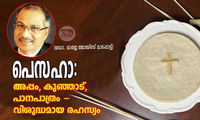 പെസഹാ: അപ്പം, കുഞ്ഞാട്, പാനപാത്രം - വിശുദ്ധമായ രഹസ്യം (ഡോ. മാത്യു ജോയിസ് മാടപ്പാട്ട്)