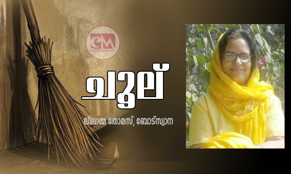 ചൂല് (കവിത : ലീലാമ്മ തോമസ്, ബോട്സ്വാന )