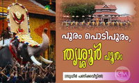 പൂരം പൊടിപൂരം, തൃശ്ശൂർ  പൂരം (സുധീർ പണിക്കവീട്ടിൽ)