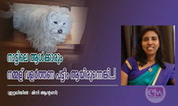 നാട്ടിലെ ആൾക്കാരും നമ്മള് വളർത്തണ പട്ടീം ആയിരുന്നെങ്കി...! (ഇറ്റലിയിൽ : മിനി ആന്റണി)