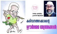കരിമ്പനത്തറക്കാരന്റെ ഊർജ്ജ തന്ത്രങ്ങൾ (വരയും എഴുത്തും : പ്രസന്നൻ ആനിക്കാട്)