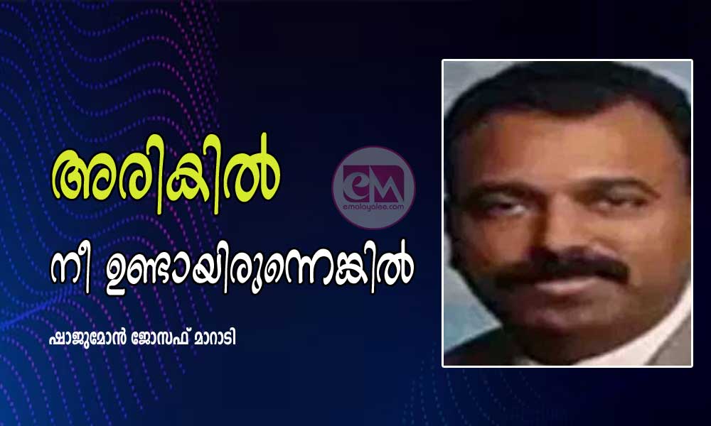 അരികിൽ നീ ഉണ്ടായിരുന്നെങ്കിൽ (കഥ: ഷാജുമോൻ ജോസഫ് മാറാടി)