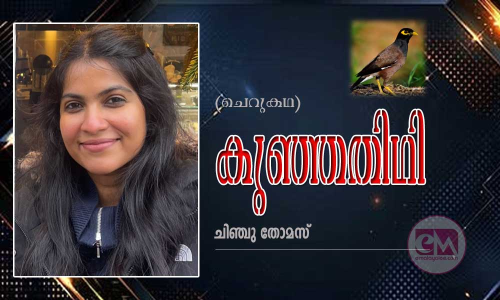 കുഞ്ഞതിഥി (ചെറുകഥ: ചിഞ്ചു തോമസ്)
