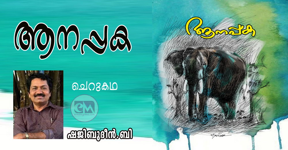  ആനപ്പക (ചെറുകഥ:  ഷജിബുദീൻ.ബി)