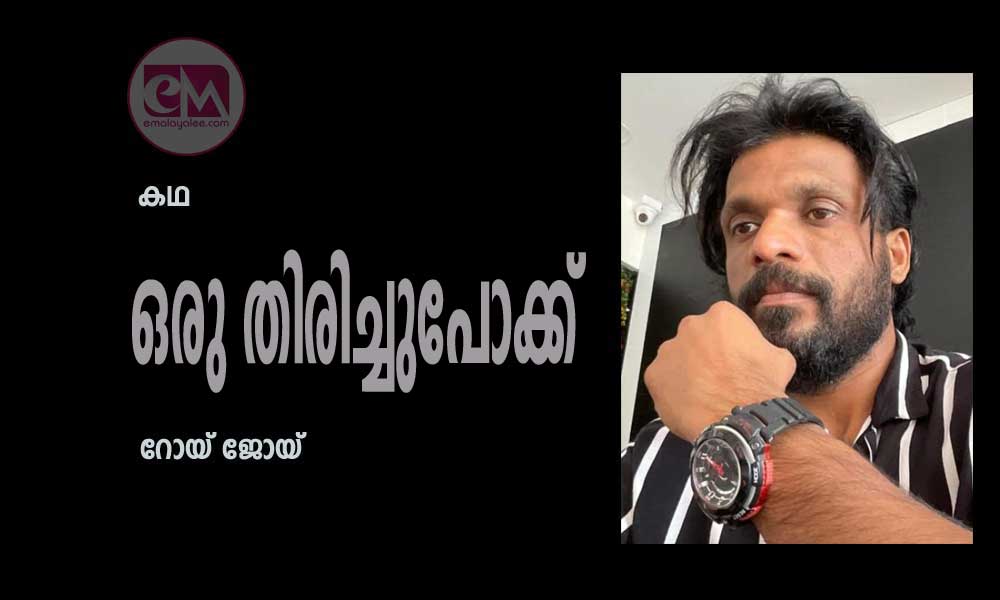 ഒരു തിരിച്ചുപോക്ക്   (കഥ :റോയ് ജോയ്‌)