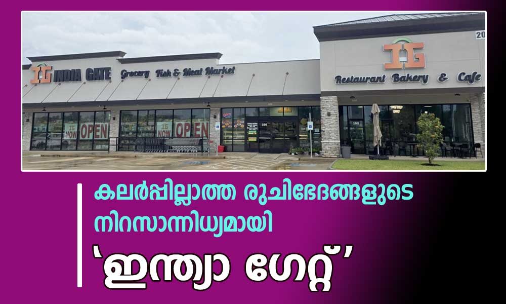 കലർപ്പില്ലാത്ത രുചിഭേദങ്ങളുടെ നിറസാന്നിധ്യമായി 'ഇന്ത്യാ ഗേറ്റ്'