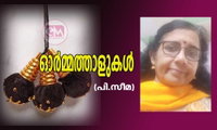 ഓർമ്മത്താളുകൾ (പി.സീമ)