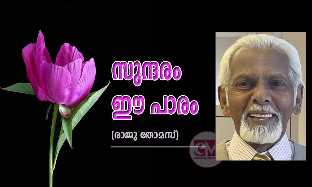 സുന്ദരം ഈ പാരം (രാജു തോമസ്)
