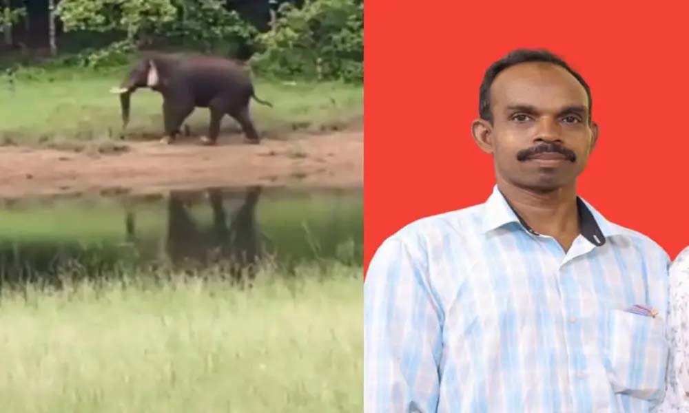 കേരള-തമിഴ്നാട് അതിര്‍ത്തിയില്‍ കാഞ്ഞിരംപാറ സ്വദേശിയെ കാട്ടാന കുത്തിക്കൊന്നു