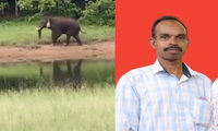 കേരള-തമിഴ്നാട് അതിര്‍ത്തിയില്‍ കാഞ്ഞിരംപാറ സ്വദേശിയെ കാട്ടാന കുത്തിക്കൊന്നു