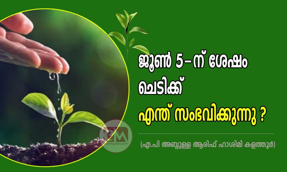 ജൂൺ 5-ന് ശേഷം ചെടിക്ക് എന്ത് സംഭവിക്കുന്നു? (എ.പി അബ്ദുള്ള ആരിഫ് ഹാശിമി കളത്തൂർ)