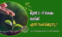ജൂൺ 5-ന് ശേഷം ചെടിക്ക് എന്ത് സംഭവിക്കുന്നു? (എ.പി അബ്ദുള്ള ആരിഫ് ഹാശിമി കളത്തൂർ)