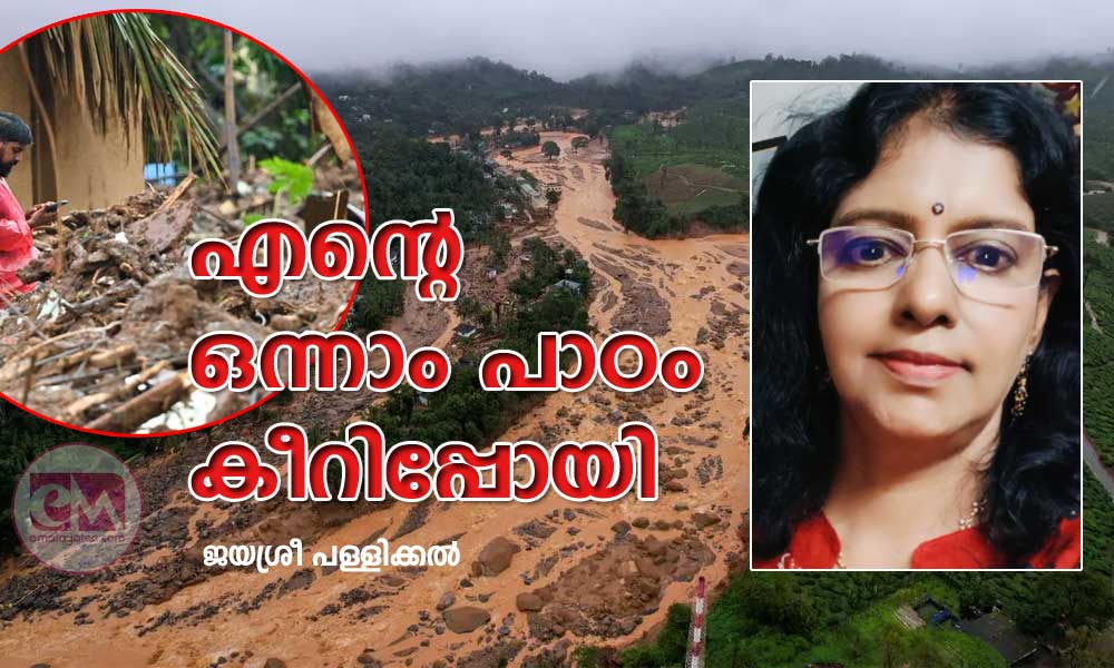 എന്റെ ഒന്നാം പാഠം കീറിപ്പോയി (കവിത: ജയശ്രീ പള്ളിക്കൽ)