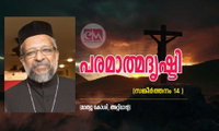 പരമാത്മദൃഷ്ടി (സങ്കീർത്തനം 14 ) (മാത്യു കോശി, അറ്റ്ലാന്റ)