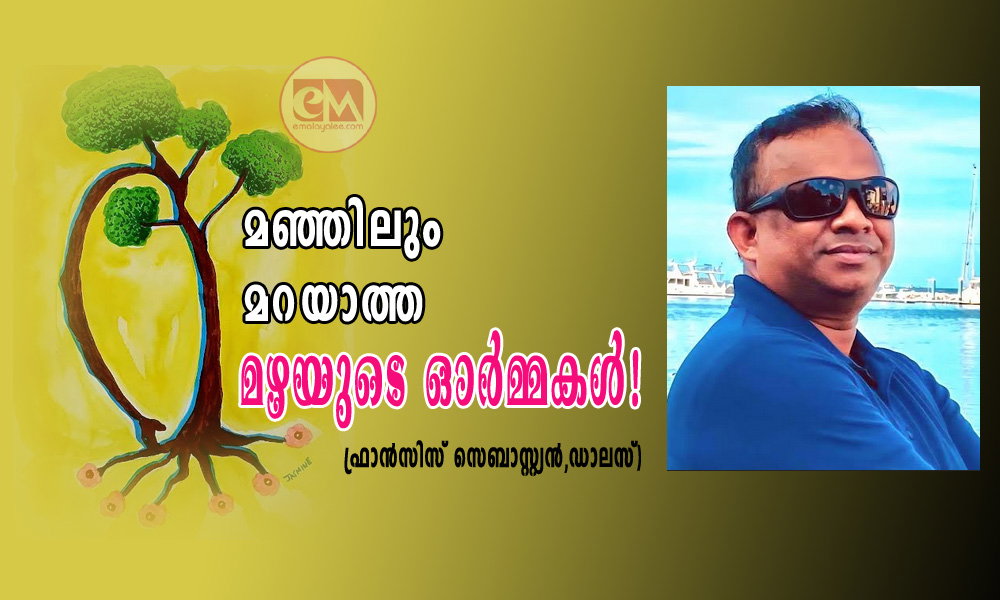 മഞ്ഞിലും മറയാത്ത മഴയുടെ ഓർമ്മകൾ!!! (ചെറുകഥ: ഫ്രാന്സിസ് സെബാസ്റ്റ്യന്,ഡാലസ്)