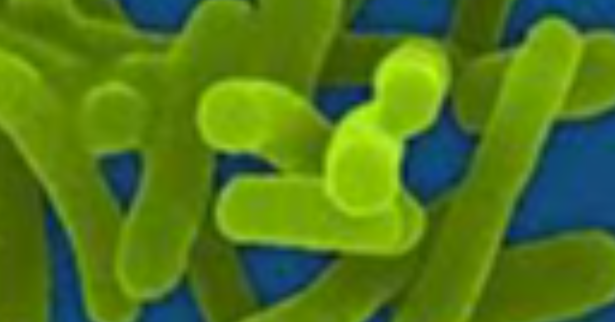ഷിഗല്ല ഭീതി: ശുചീകരണം ശക്തമാക്കണമെന്ന് നിർദ്ദേശിച്ച് ആരോഗ്യമന്ത്രി; ചികിത്സയിലുള്ളത് 38 പേർ