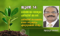 ജൂൺ 14: മാർത്തോമ്മാ സഭയുടെ പരിസ്ഥിതി ഞായർ: പരിസ്ഥിതി സംരക്ഷണം – ഓരോ മനുഷ്യനും ഏറ്റെടുക്കേണ്ട ദൗത്യം (ആൻഡ്രൂസ് അഞ്ചേരി)