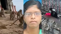 കുരങ്ങുകൾ കൂട്ടത്തോടെ ചുറ്റും കൂടിയതോടെ  ഭ‍യന്നോടി യുവതി;  പാറക്കെട്ടിൽ വീണ് ദാരുണാന്ത്യം