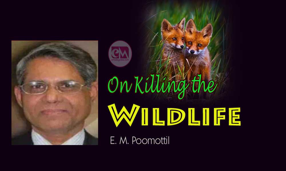 On Killing the Wildlife (Poem:Dr. E. M. Poomottil)