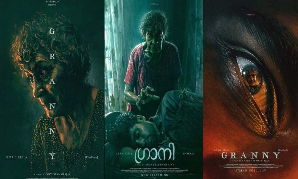 സിനിമയോട് കിട പിടിക്കുന്ന ദൃശ്യങ്ങളുമായി ഹൃസ്വ ചിത്രം 'ഗ്രാനി'