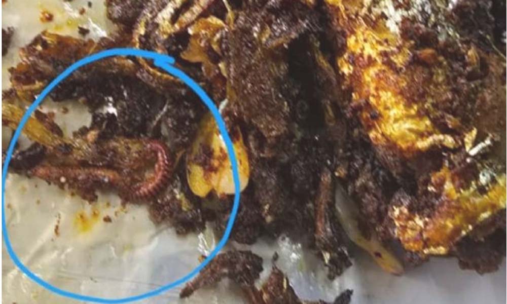  മീന്‍ വറുത്തതില്‍ അട്ട, പോലീസ് കാന്റീന്‍ പൂട്ടിച്ചു