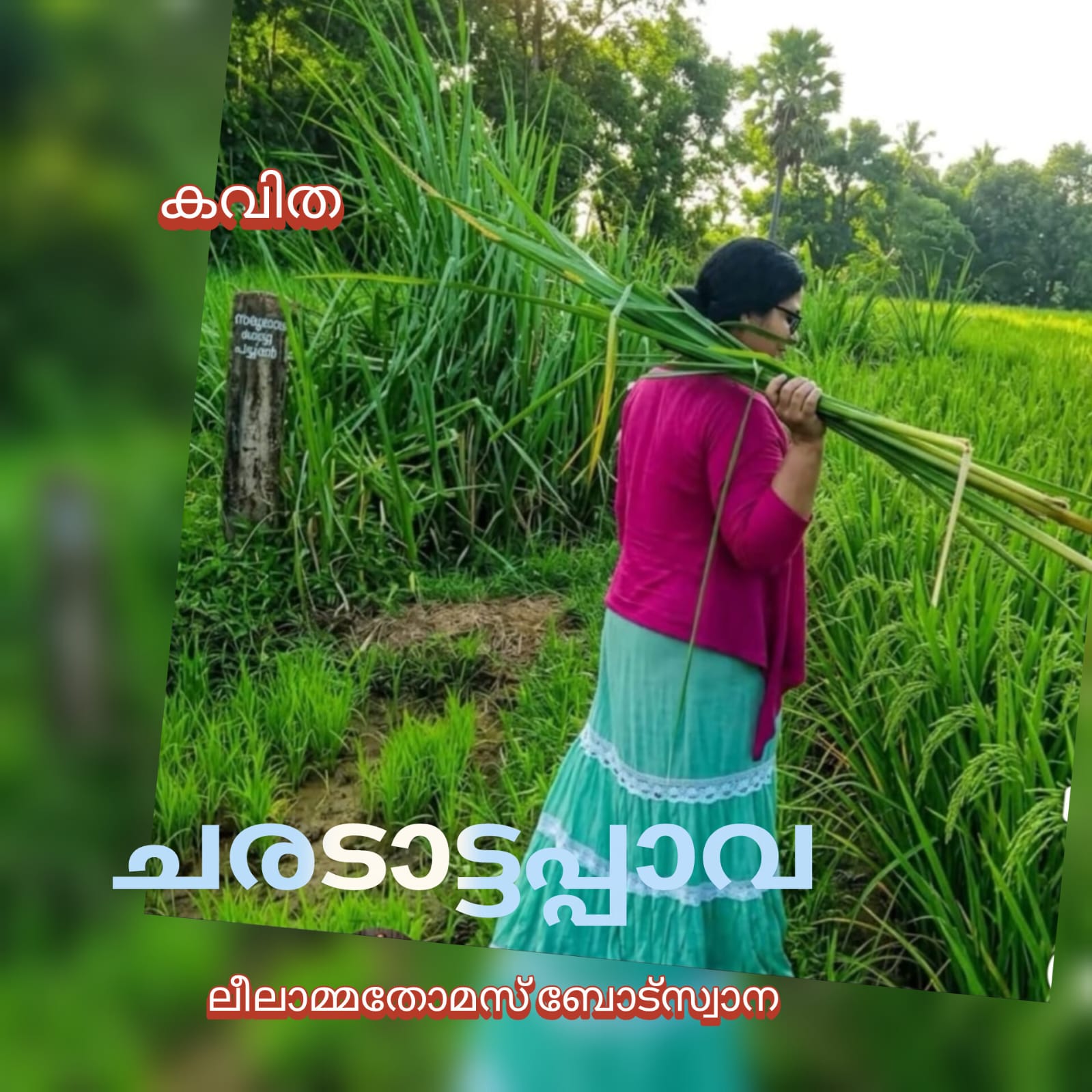 ചരടാട്ടപ്പാവ ( കവിത : ലീലാമ്മ തോമസ് ബോട്സ്വാന )