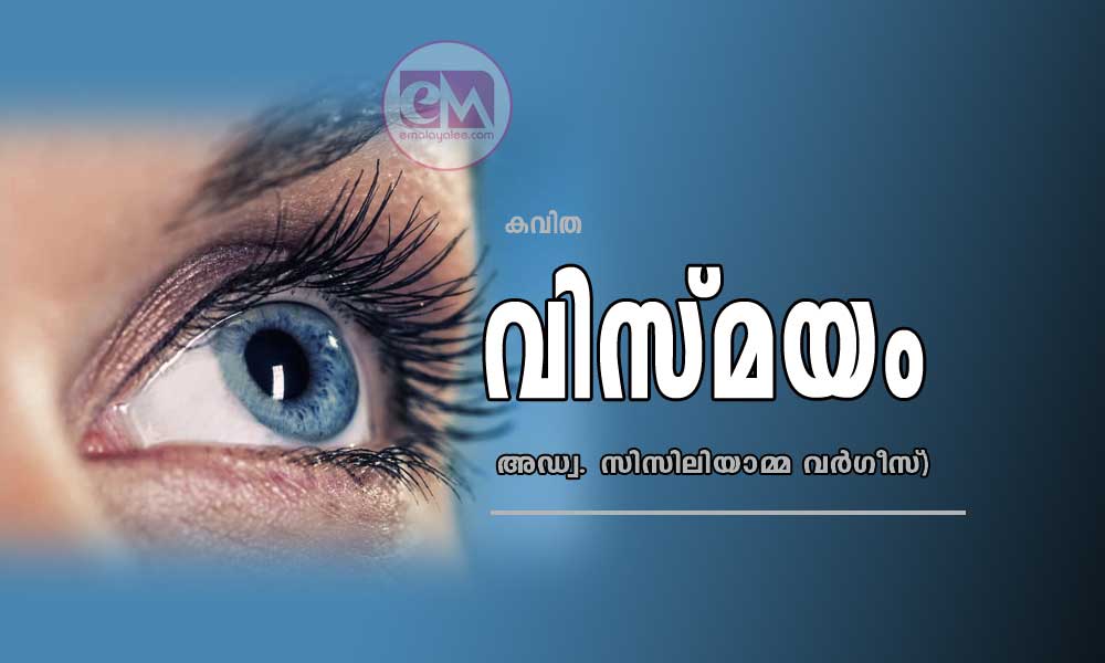 വിസ്മയം (കവിത: അഡ്വ. സിസിലിയാമ്മ വര്ഗീസ്)