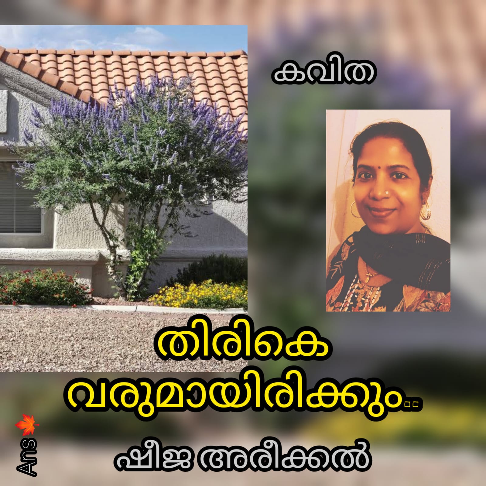 തിരികെ വരുമായിരിക്കും.. ( കവിത : ഷീജ അരീക്കൽ )