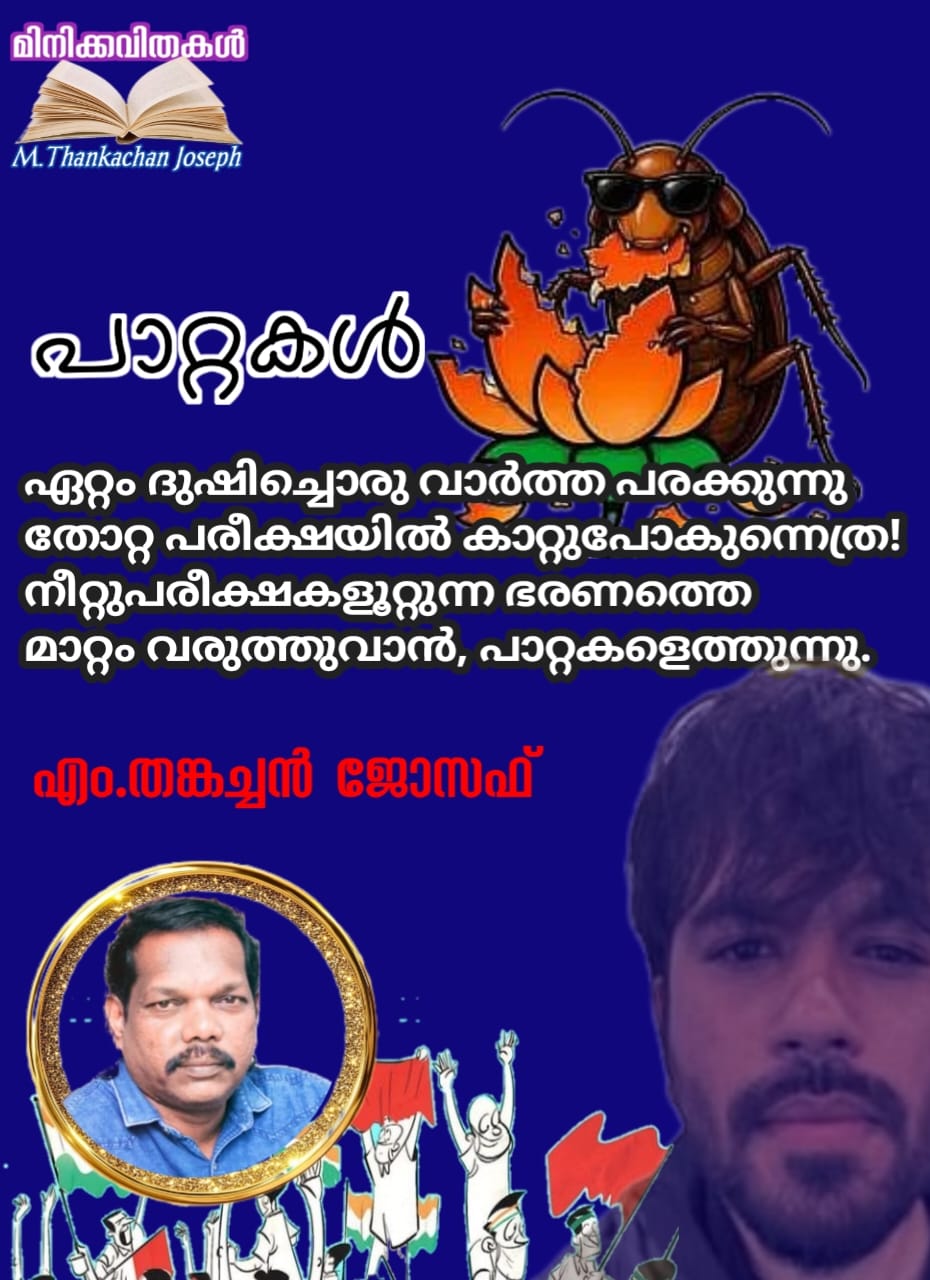 പാറ്റകൾ: മിനിക്കവിത, എം.തങ്കച്ചൻ ജോസഫ്