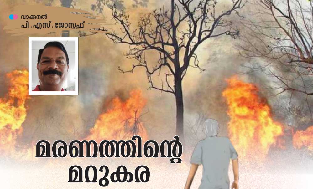 മരണത്തിന്റെ മറുകര (സാഹിത്യം: പി എസ് ജോസഫ്)