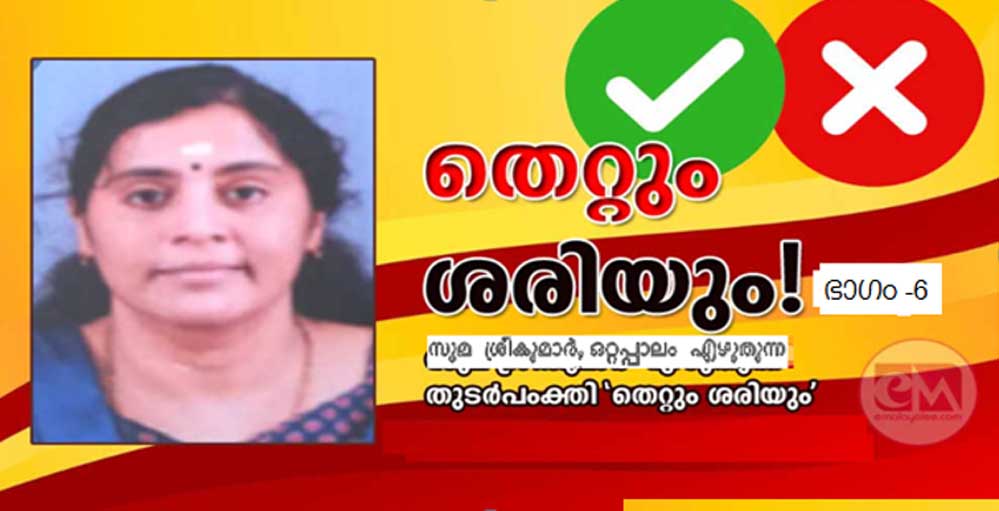 ജന്തർ മന്തർ ശാന്തമാകട്ടെ ! (സുമ ശ്രീകുമാർ, ഒറ്റപ്പാലം)