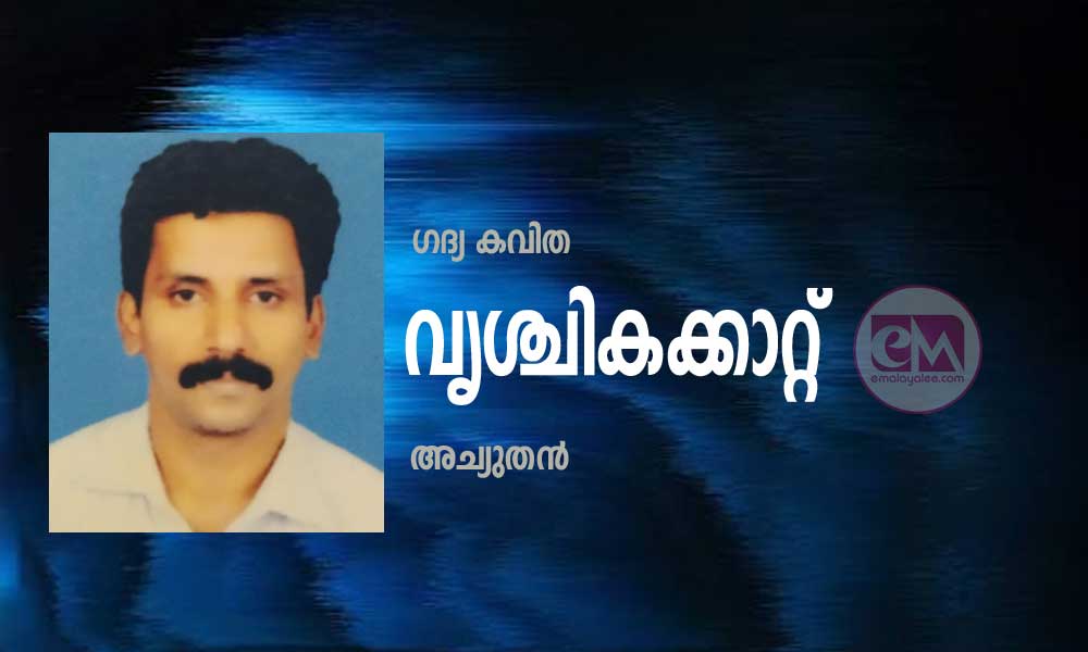 വൃശ്ചികക്കാറ്റ്  (ഗദ്യ കവിത: അച്യുതന്‍)