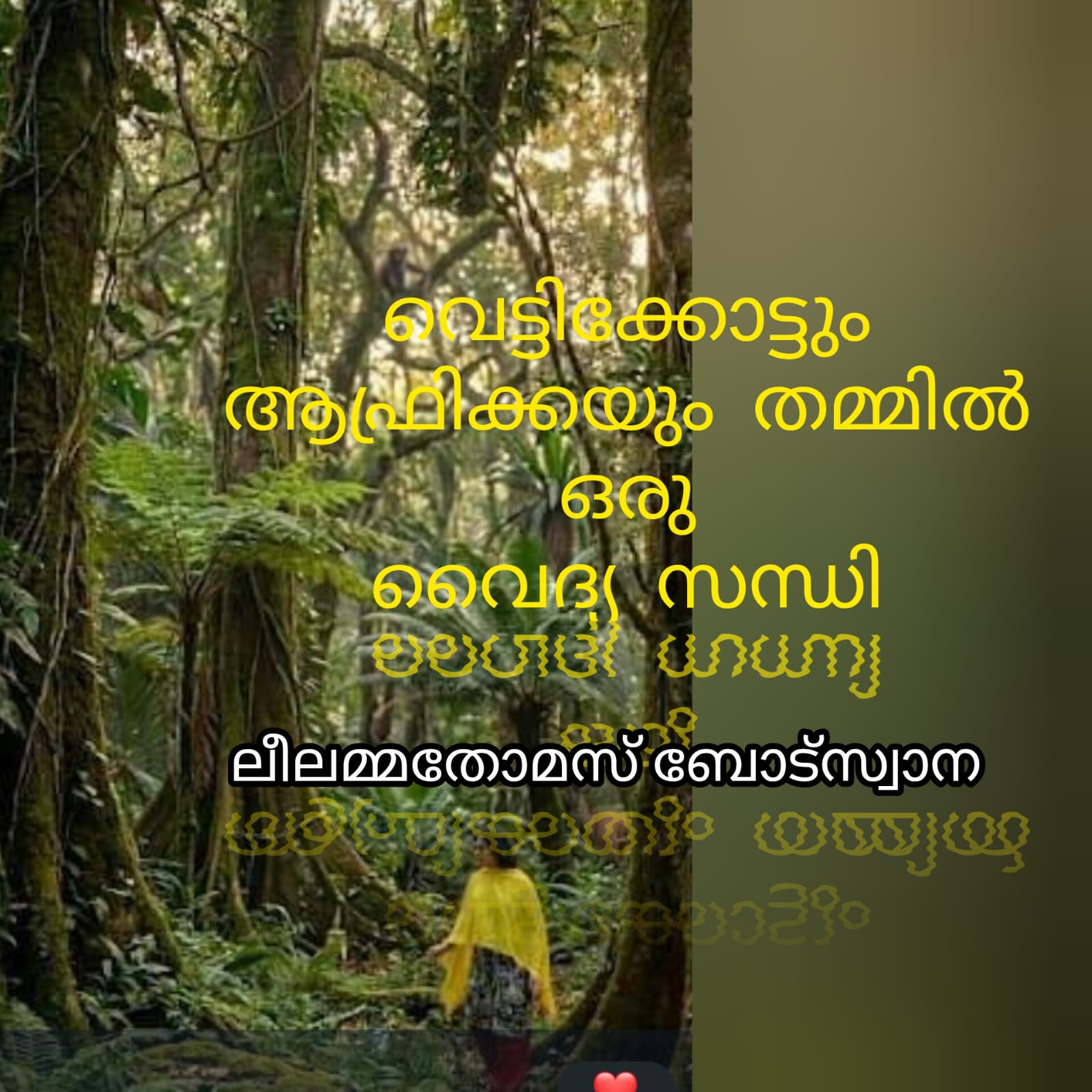 വെട്ടിക്കോട്ടും ആഫ്രിക്കയും തമ്മിൽ ഒരു വൈദ്യസന്ധി (ലീലാമ്മ തോമസ്, ബോട്സ്വാന)