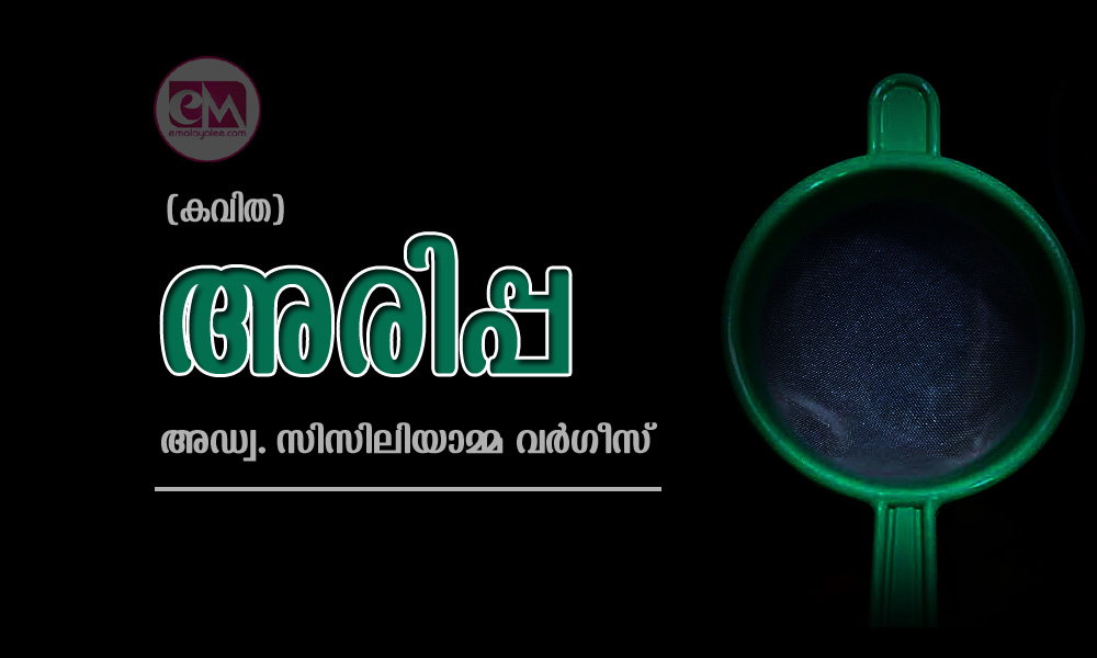 അരിപ്പ (കവിത: അഡ്വ. സിസിലിയാമ്മ വര്‍ഗീസ്)