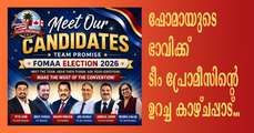 ടീം പ്രോമിസിന്റെ  ഓണ്‍ലൈന്‍ സംവാദത്തിന് വന്‍ പങ്കാളിത്തം; ഫോമായുടെ ഭാവി പ്രവര്‍ത്തനങ്ങള്‍ക്ക് സമര്‍പ്പിത നേതൃത്വമെന്ന് ഉറപ്പ്