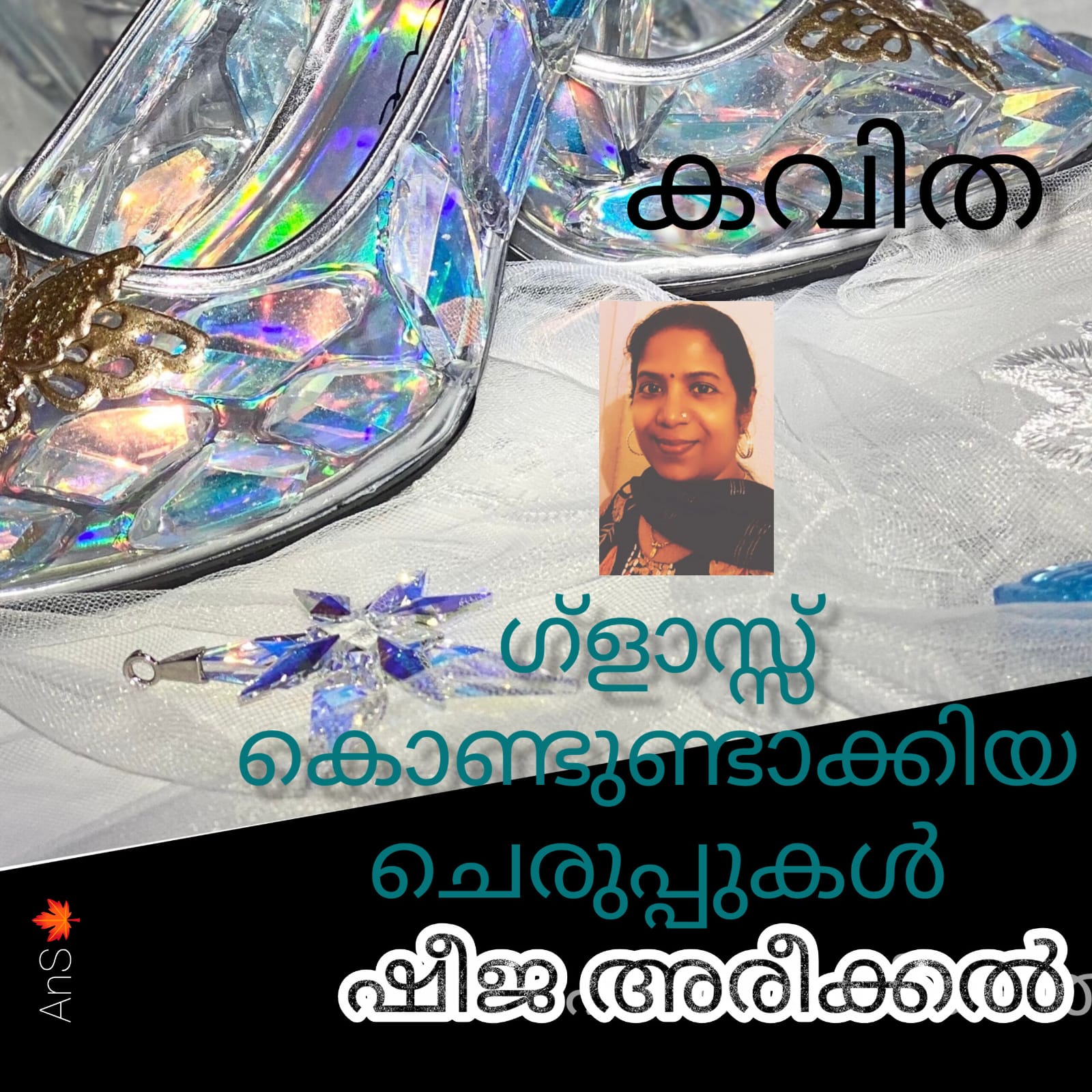 ഗ്ലാസ്സ് കൊണ്ടുണ്ടാക്കിയ ചെരുപ്പുകൾ ( കവിത : ഷീജ അരീക്കൽ )