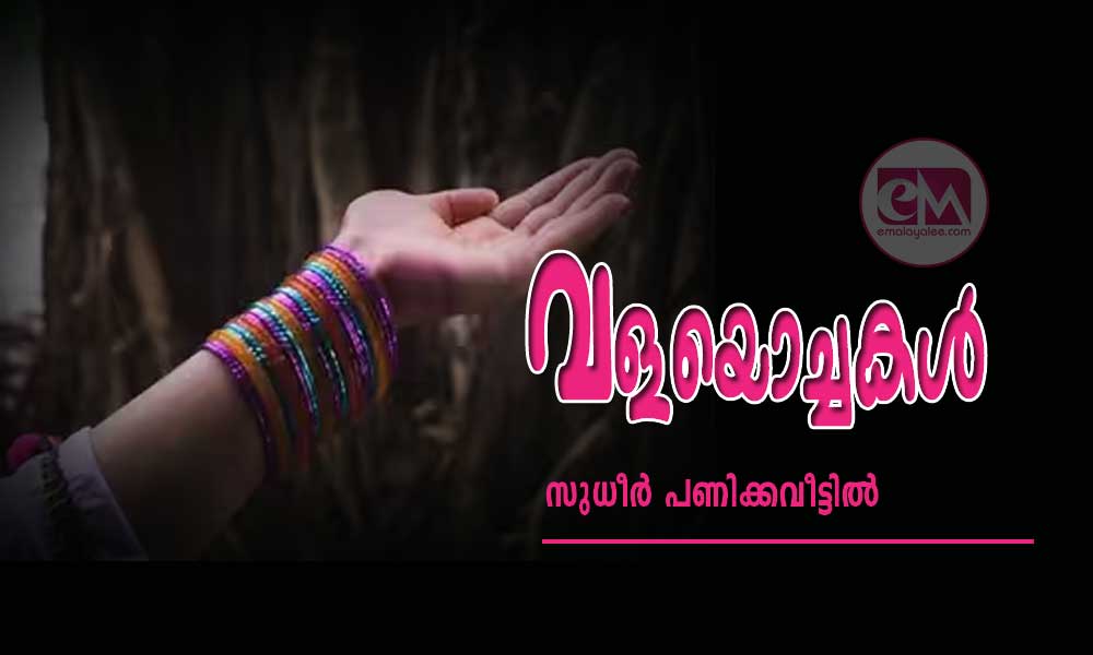 വളയൊച്ചകൾ (കഥ: സുധീര് പണിക്കവീട്ടില്)