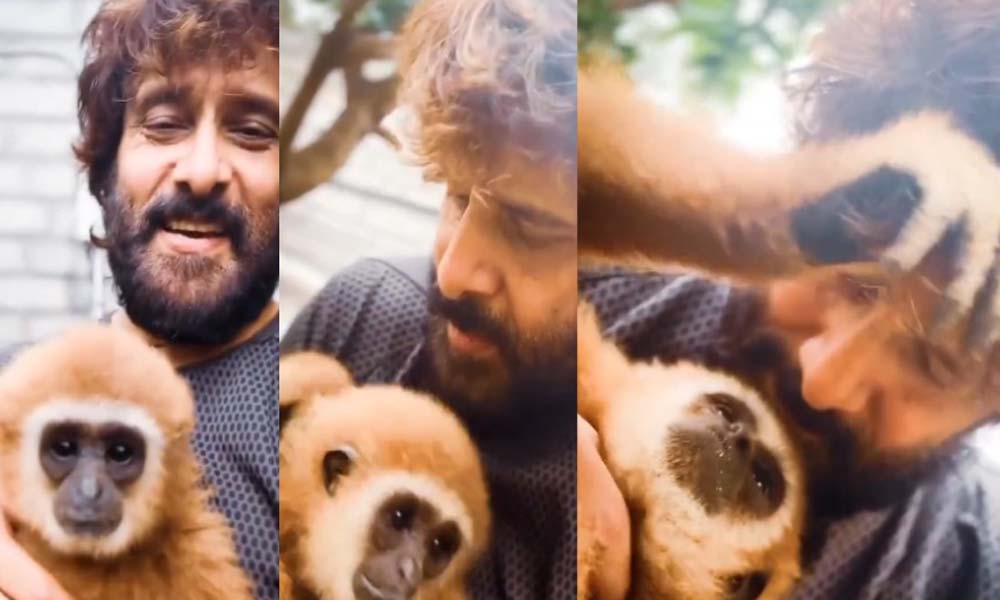 കുരങ്ങുമായി റീല് ചെയ്തു, ചിയാന് വിക്രം വിവാദത്തില്; അന്വേഷണവുമായി വനം വകുപ്പ്