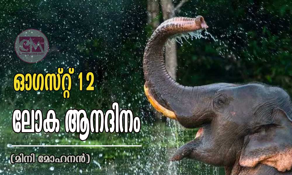 ഓഗസ്ററ് 12 - ലോക ആനദിനം (മിനി മോഹനൻ)