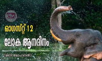 ഓഗസ്ററ്  12 - ലോക ആനദിനം (മിനി മോഹനൻ)