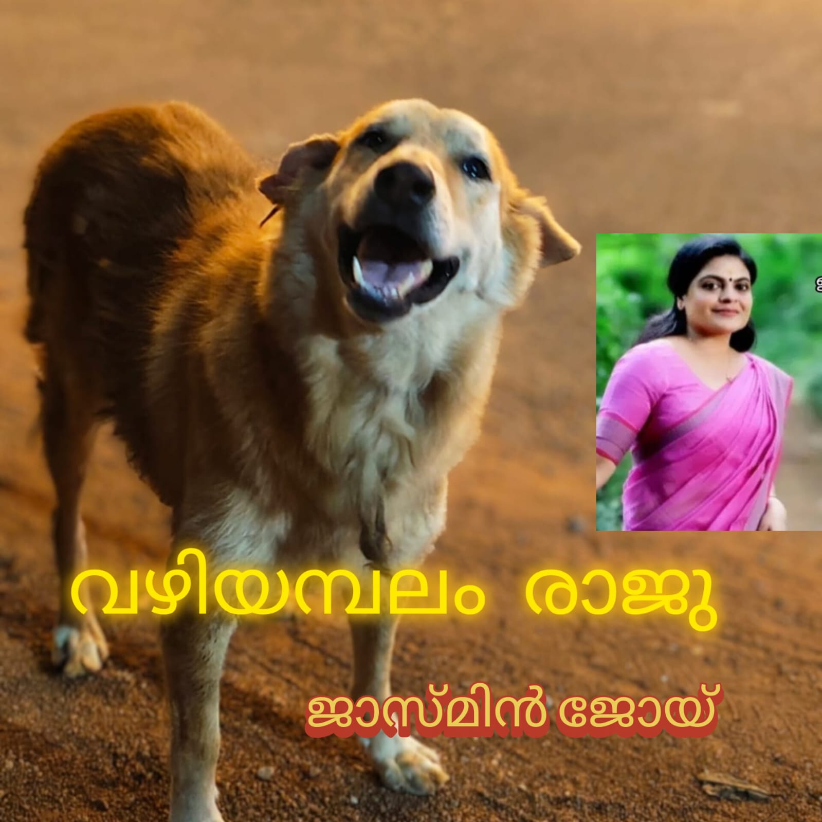 വഴിയമ്പലം രാജു : ജാസ്മിൻ ജോയ്