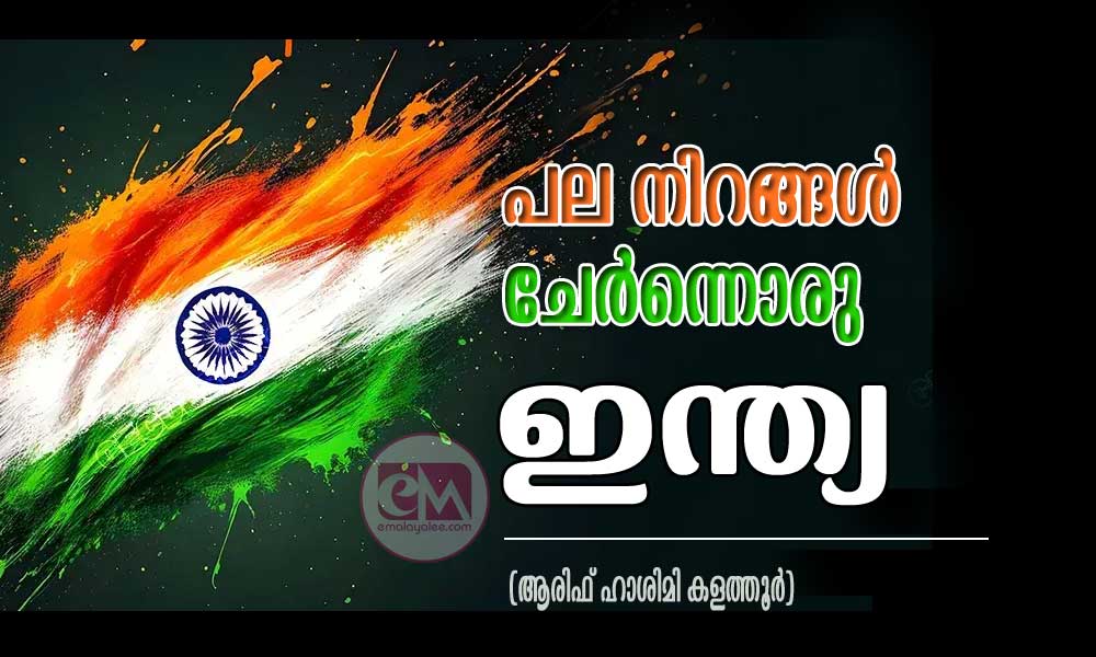പല നിറങ്ങൾ ചേർന്നൊരു ഇന്ത്യ (ആരിഫ് ഹാശിമി കളത്തൂർ)