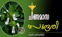 ചിങ്ങമാസ സുന്ദരി (സുധീർ പണിക്കവീട്ടിൽ)