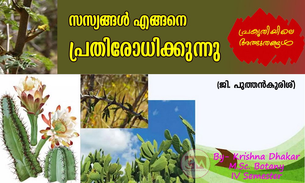 സസ്യങ്ങൾ എങ്ങനെ പ്രതിരോധിക്കുന്നുപ്രകൃതിയിലെ അത്ഭുതങ്ങൾ (ജി. പുത്തൻകുരിശ്)