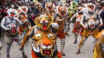 തൃശൂരിനെ ആവേശത്തിലാക്കി പുലികൾ തിമിർത്താടി; ശക്തന്റെ തട്ടകം കീഴടക്കി  450 പുലികൾ