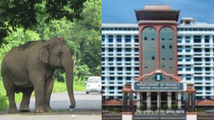 വന്യജീവി ആക്രമണങ്ങൾക്ക് ന്യായമായ നഷ്ടപരിഹാരം നൽകാൻ സർക്കാർ ബാധ്യസ്ഥർ: മനുഷ്യജീവന്റെ വിലയെ ചട്ടങ്ങളിലെ തുച്ഛമായ തുകയിലേക്ക് ചുരുക്കിക്കാണുന്നത് നീതീകരിക്കാനാകില്ല; ഹൈക്കോടതി